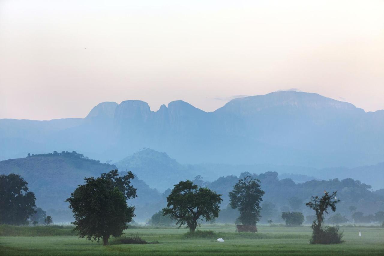 Farcry Nature Boutique Resort Matale Buitenkant foto